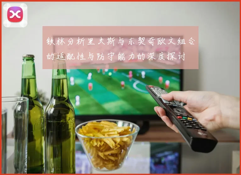 铁林分析里夫斯与东契奇欧文组合的适配性与防守能力的深度探讨