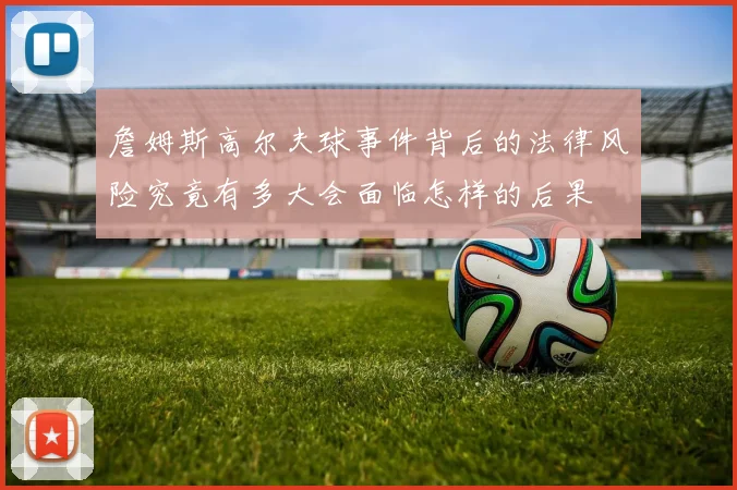 詹姆斯高尔夫球事件背后的法律风险究竟有多大会面临怎样的后果